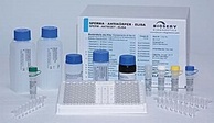 维甲酸受体-α 多肽,RAR-α抗体_上海研晶生物科技有限公司