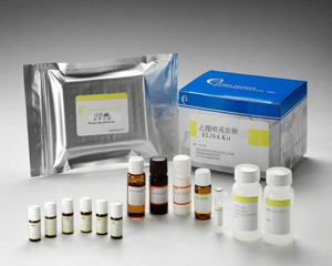 人鼻病毒(RhV)ELISA试剂盒价格现货 免费代测中_上海哈灵生物科技有限公司