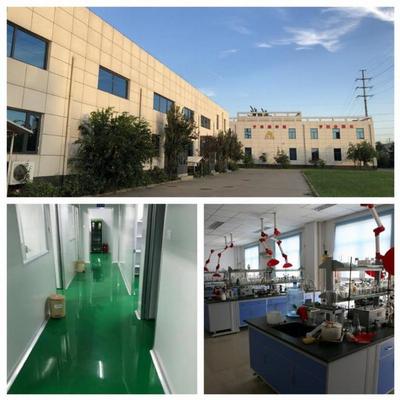 天津科技大学--安泰阳光功能性食品联合研究院成立